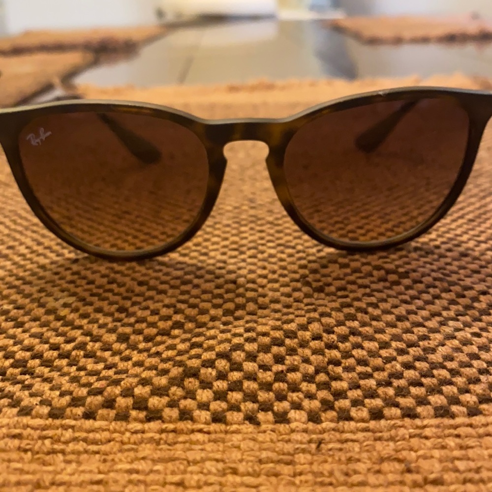 Ray-Ban Erika Sunglasses